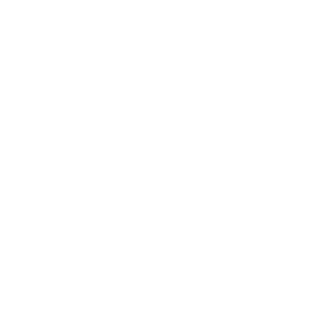 Langzauner Logo