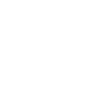 Seelenspiegel Logo